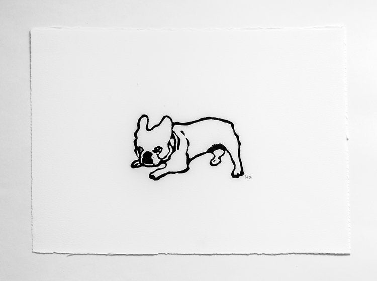 Playful Bulldog Puppy