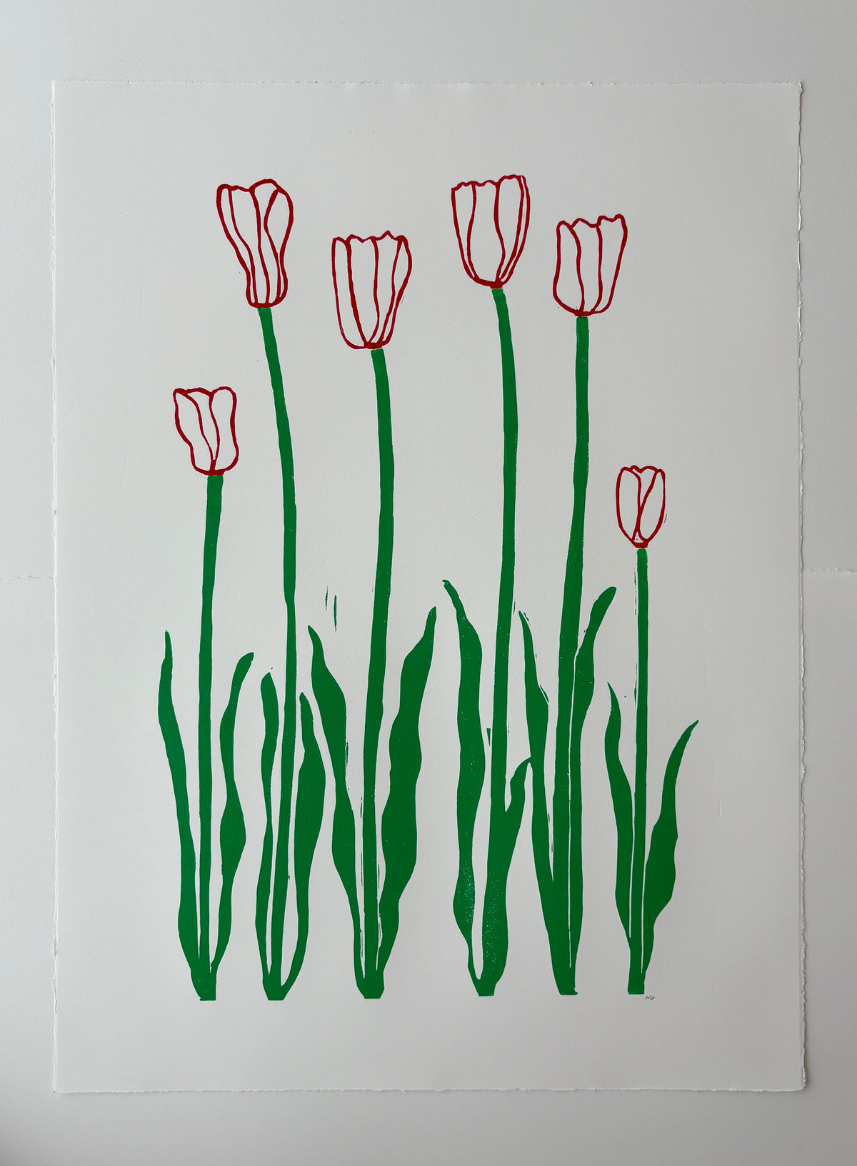Red & Green Tulips