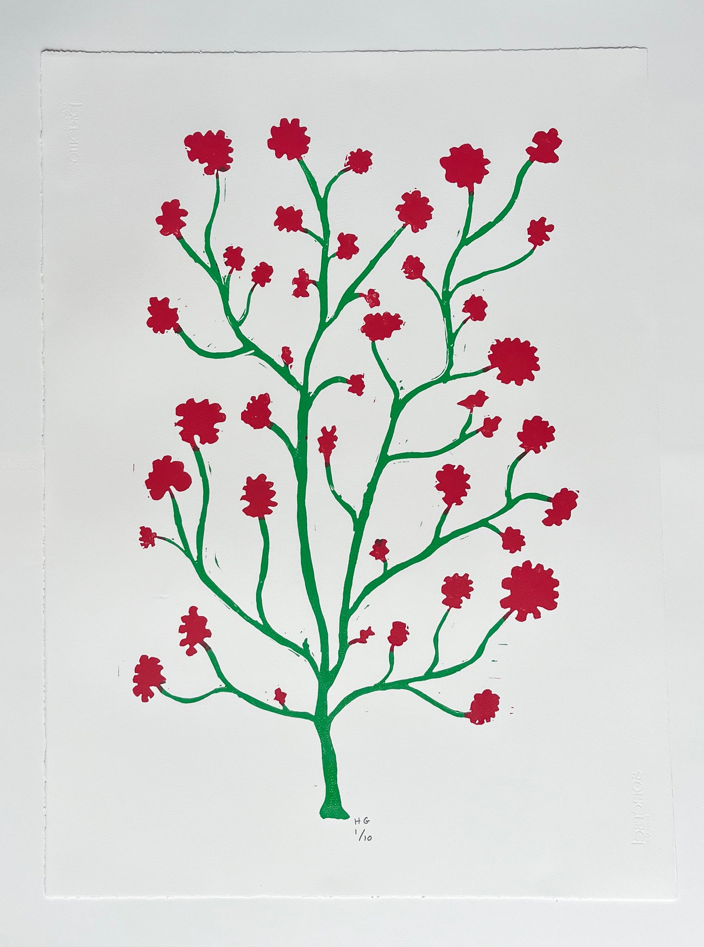 Limited Edition Green & Pink Geranium