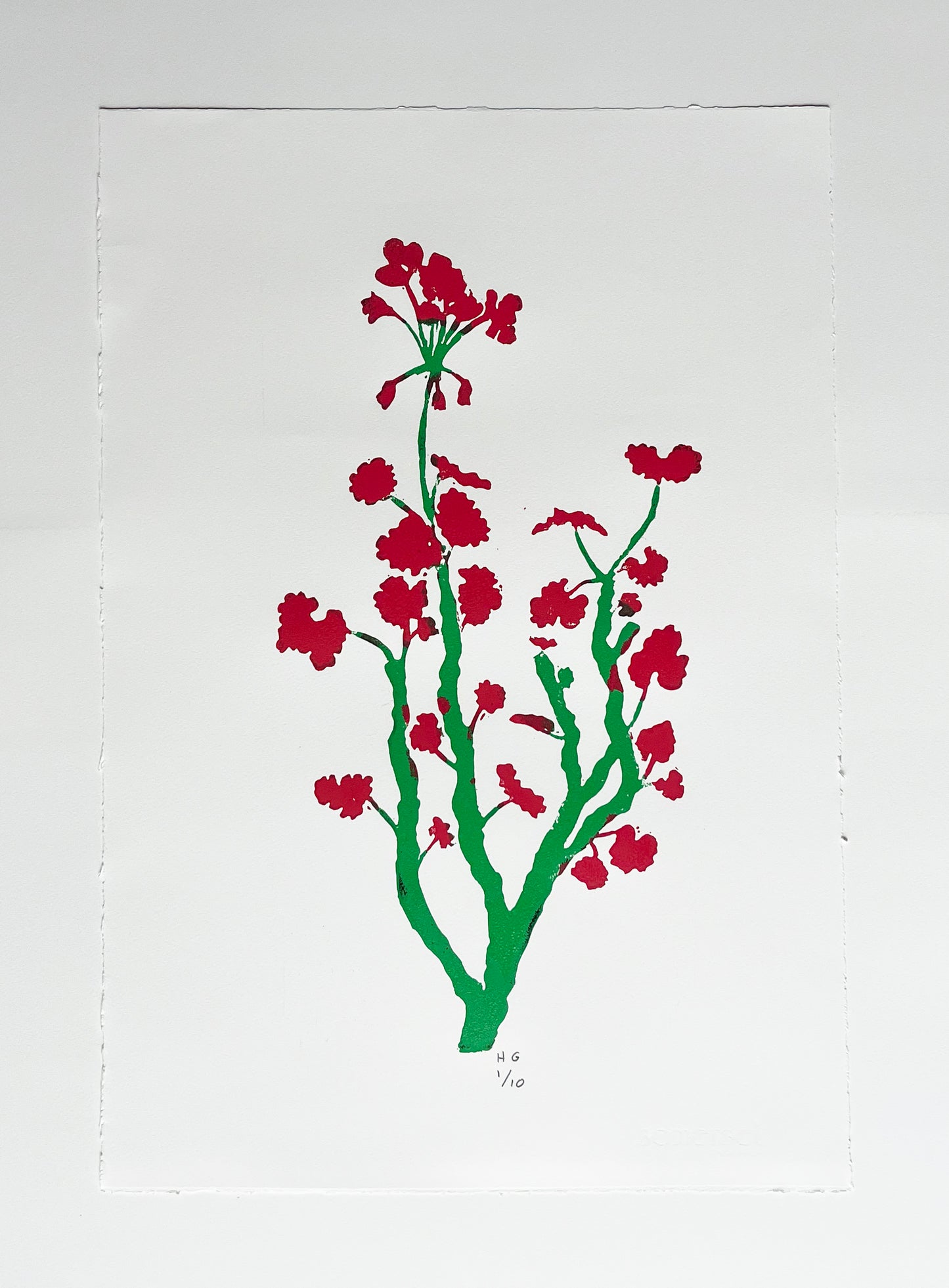 Limited Edition Green & Pink Tall Geranium