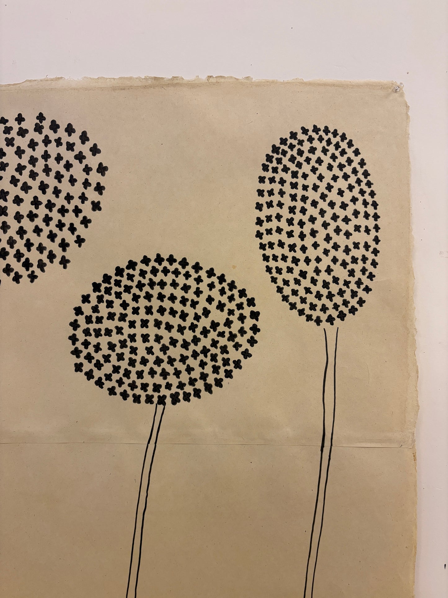 Alliums