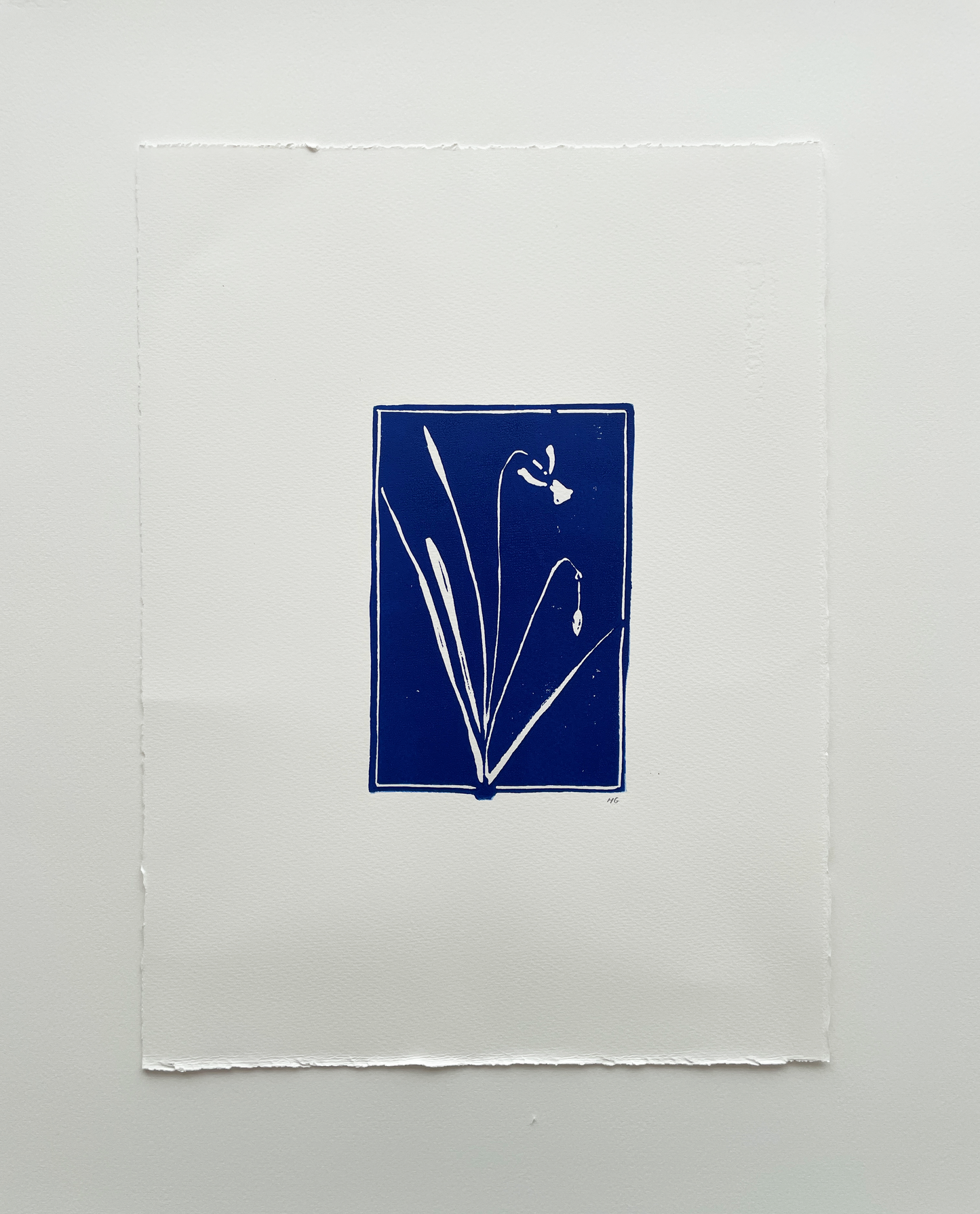 Blue Daffodil - Limited Edition