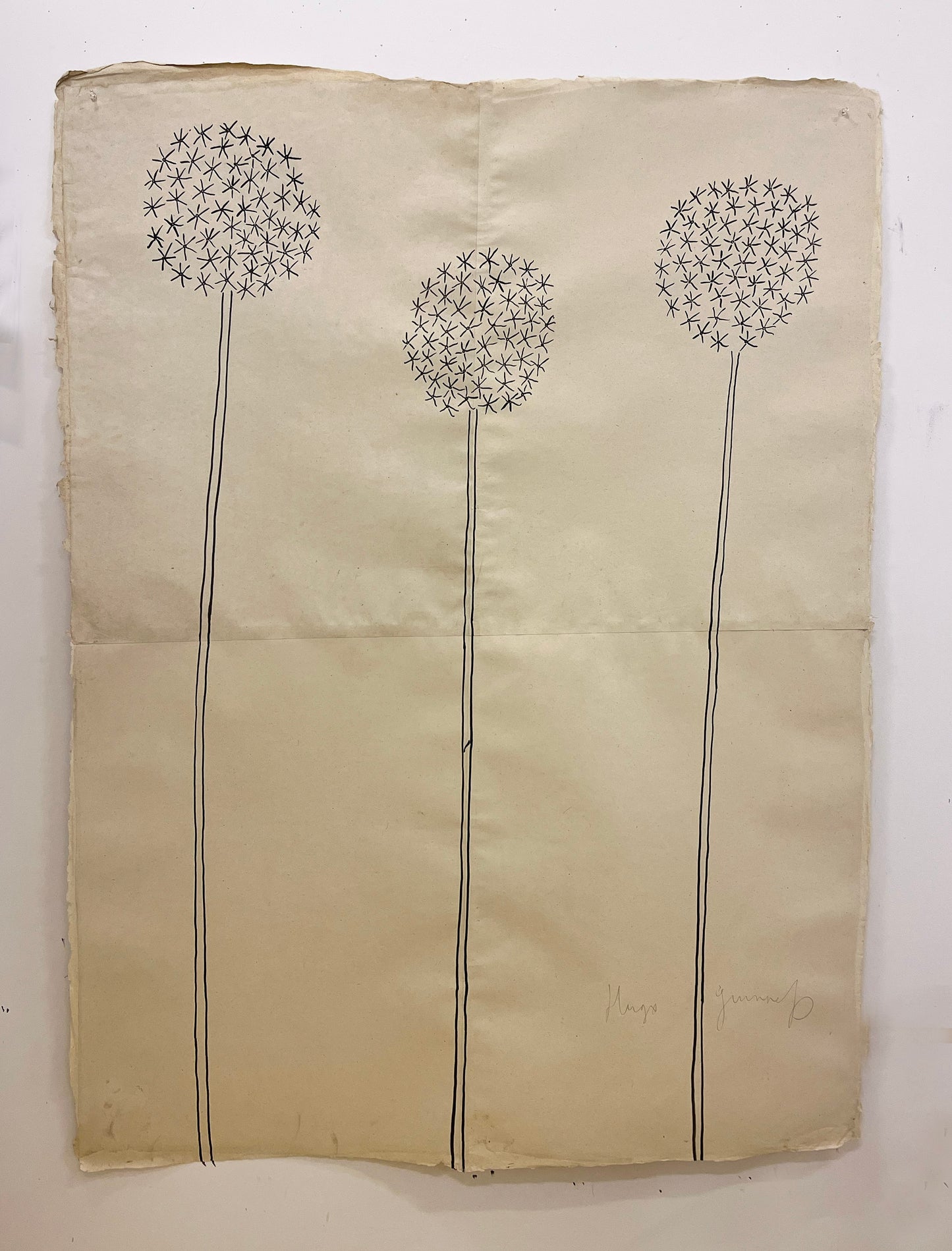 Three Dandelions