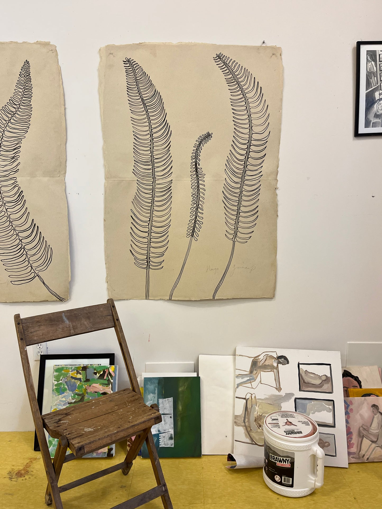 Three Ferns