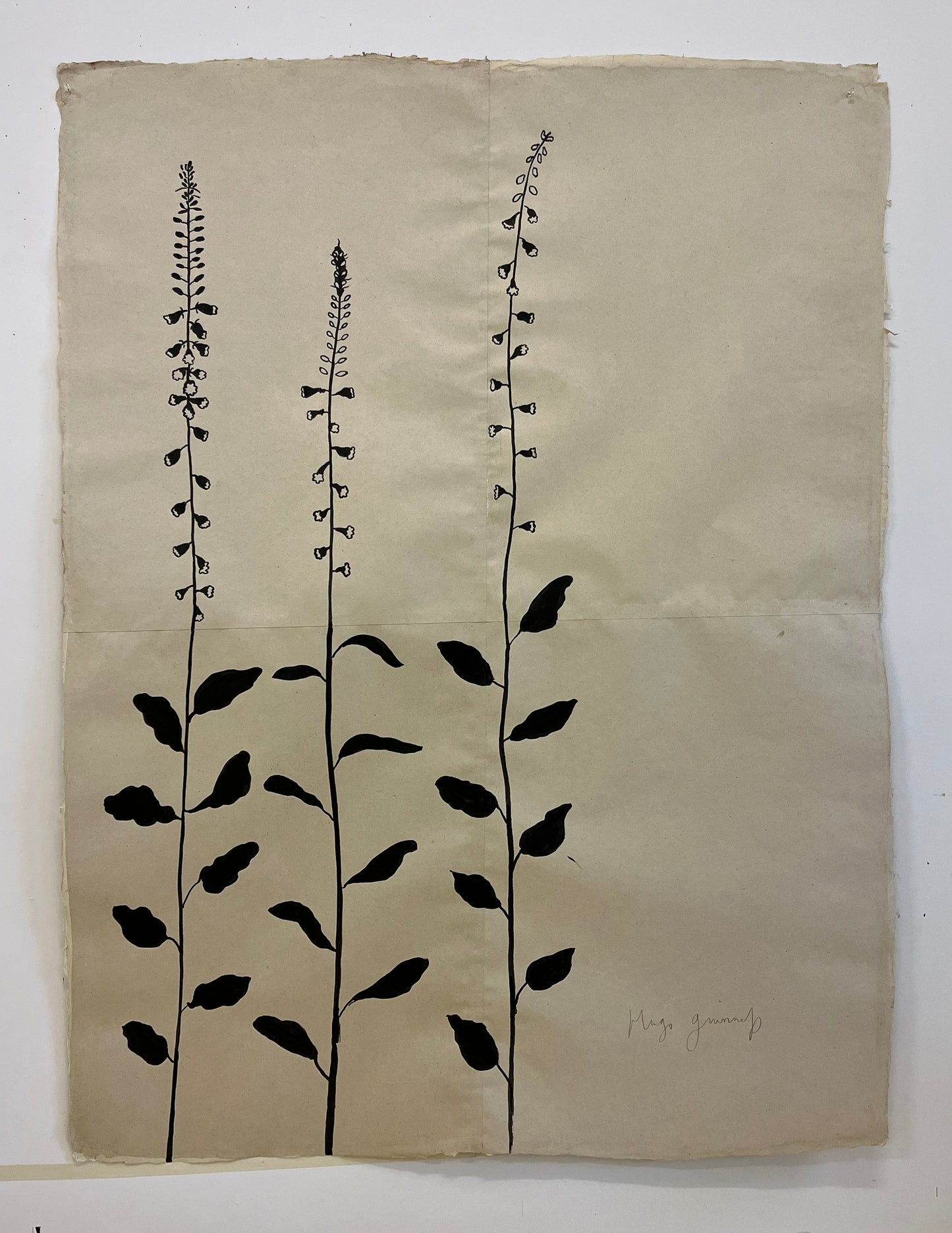 Three Foxglove