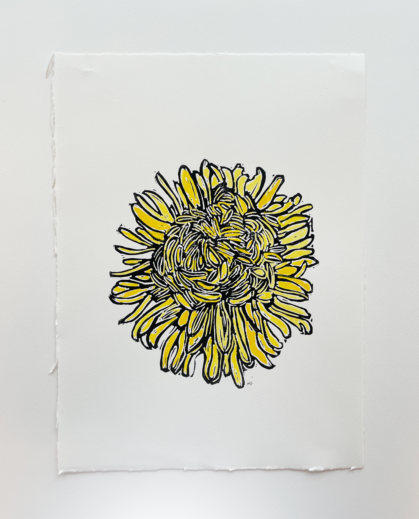Yellow flower head