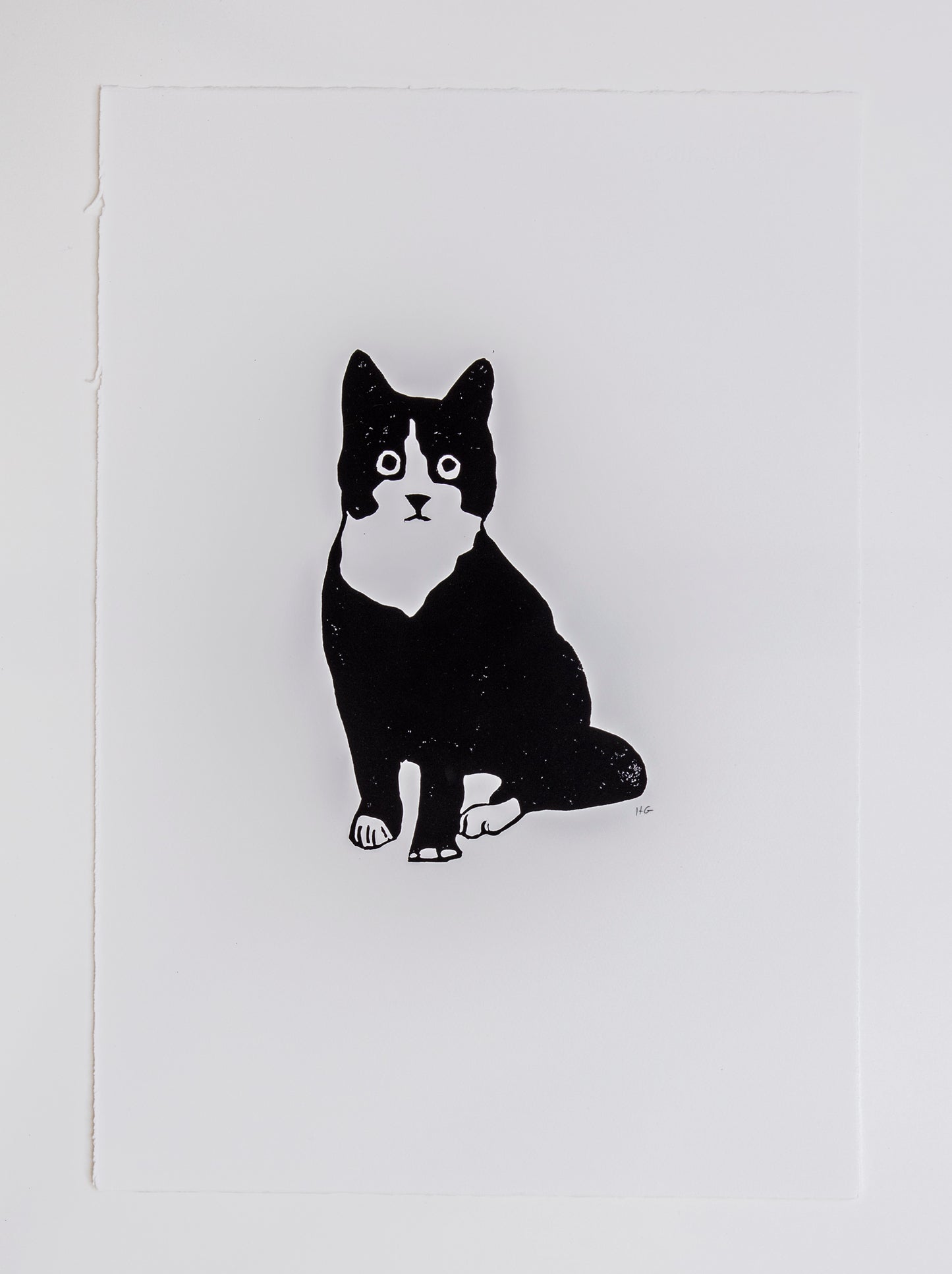 Black & White Seated Cat