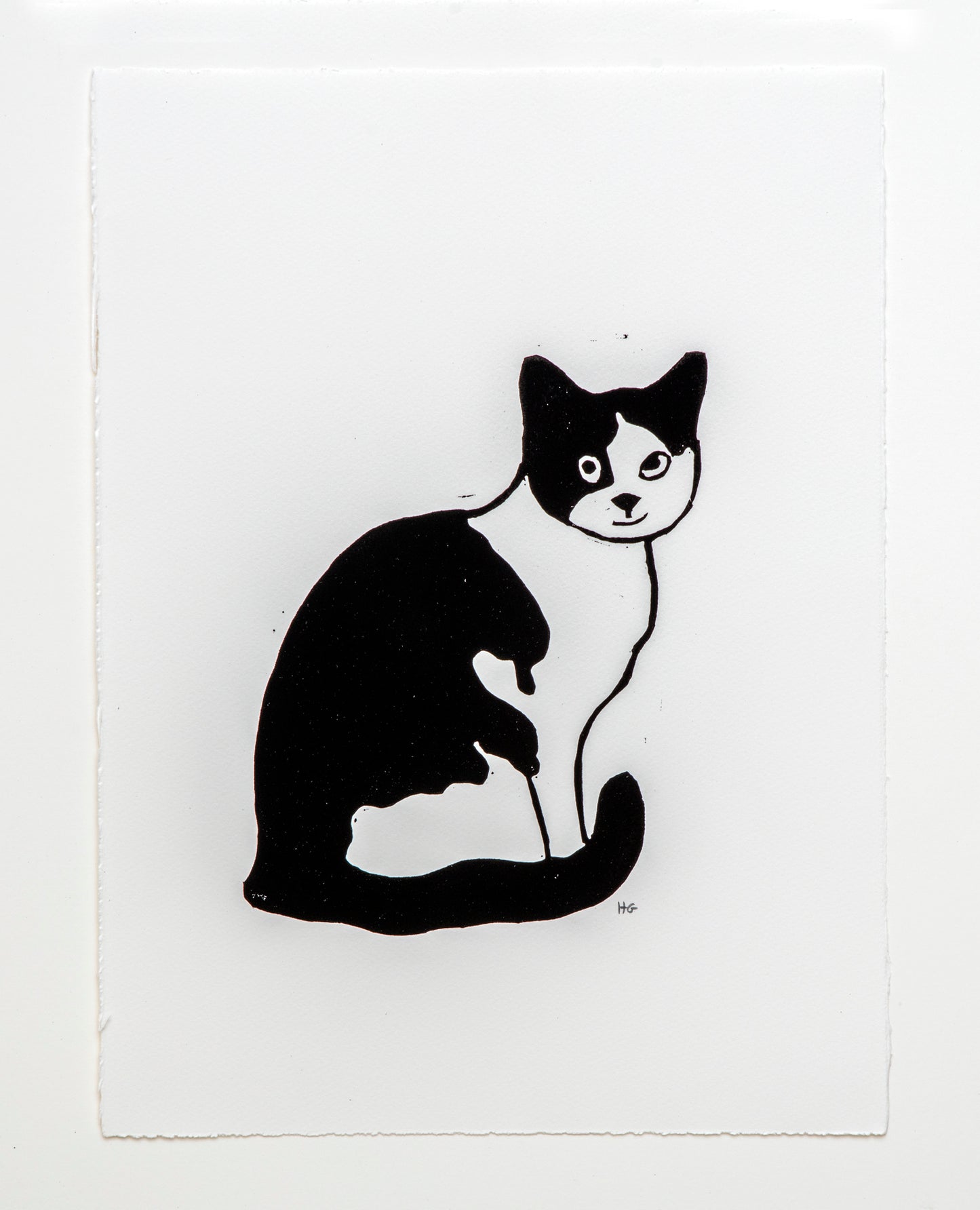 Black & White Cat Facing Right