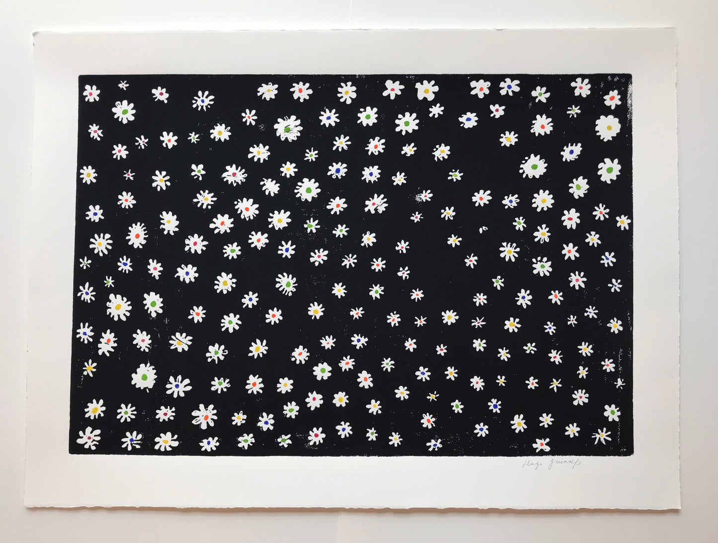 Daisies B