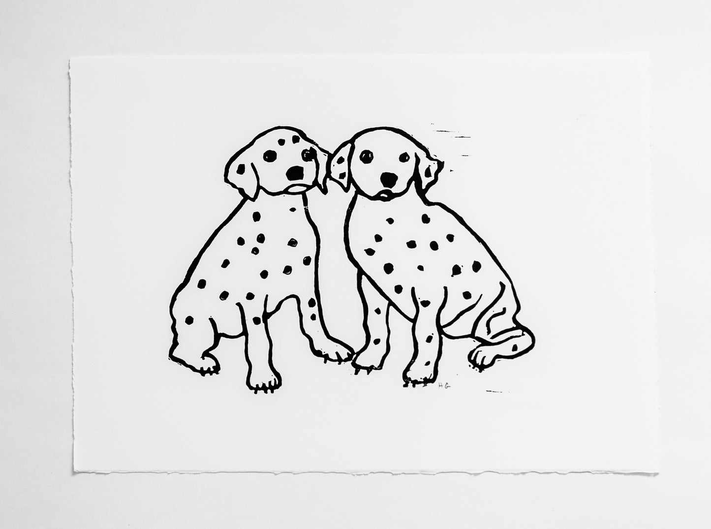 Dalmation Puppies