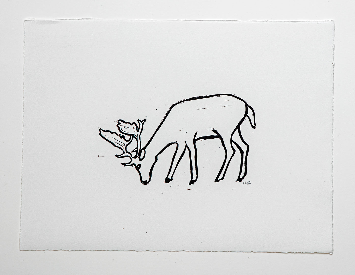 Elk