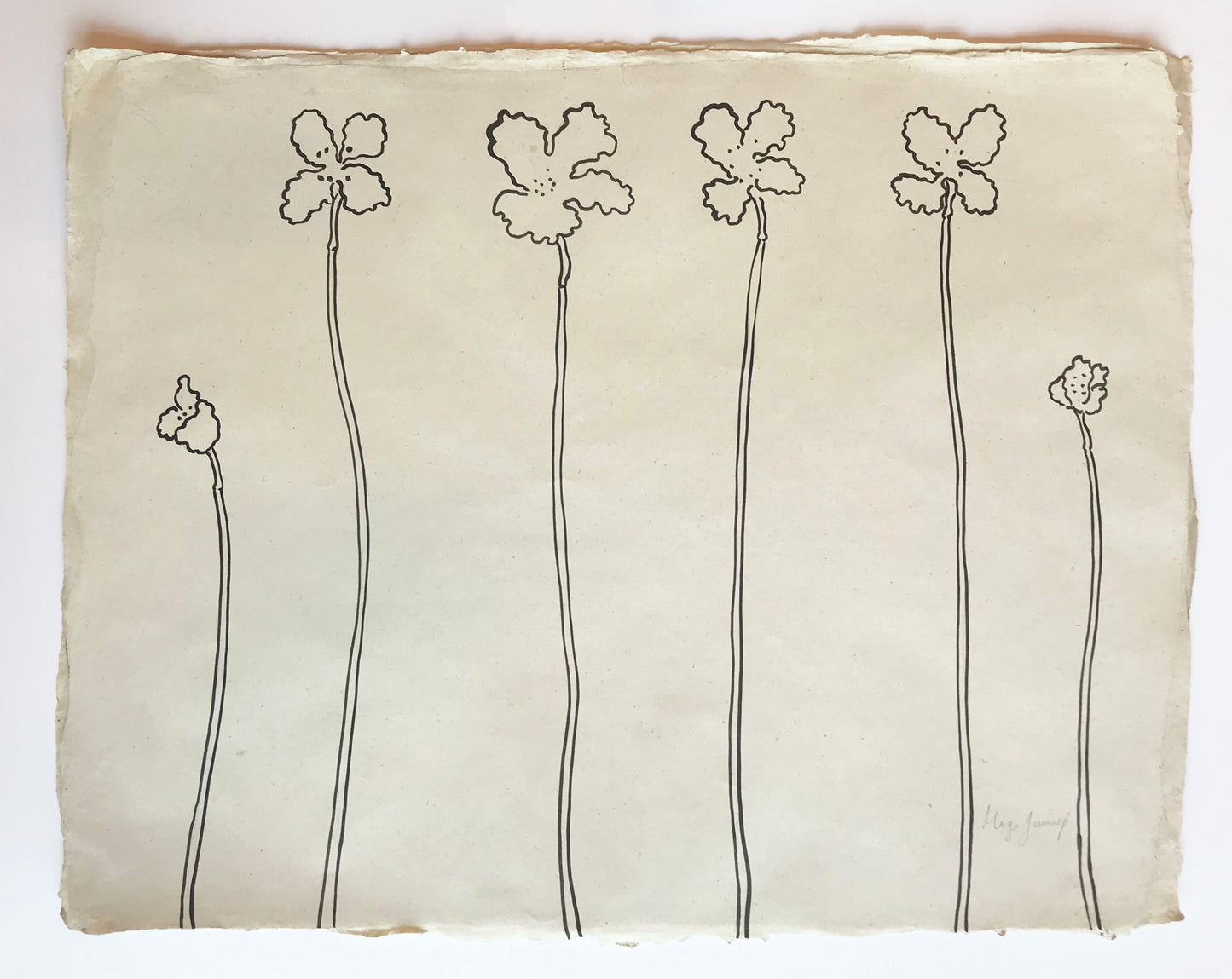 Joyful Seed