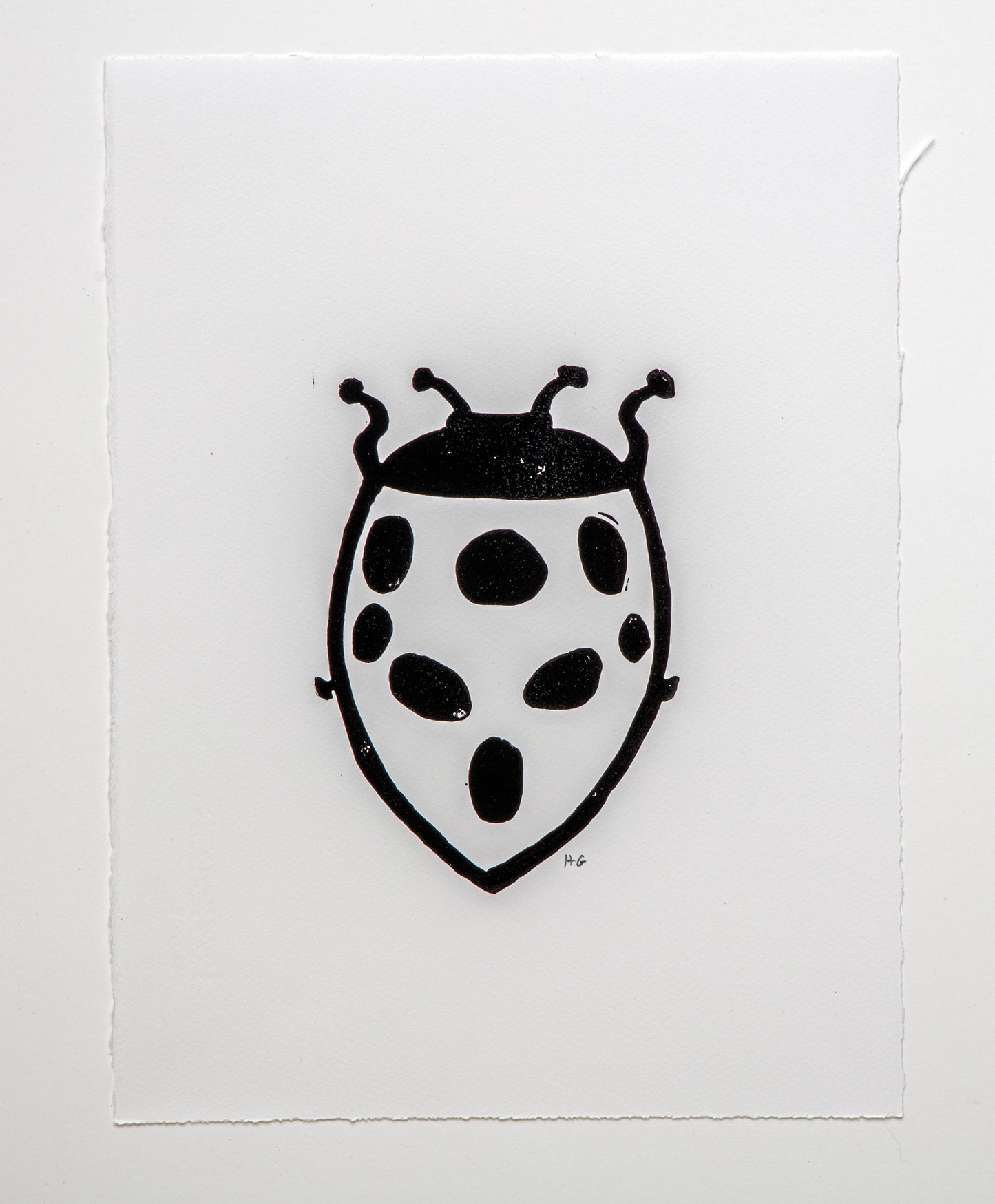 Lady Bug