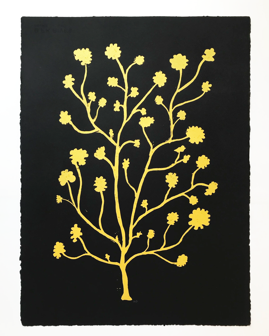 Gold Geranium