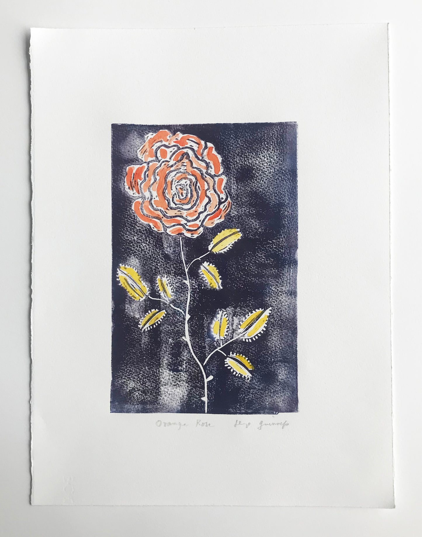 Orange Rose
