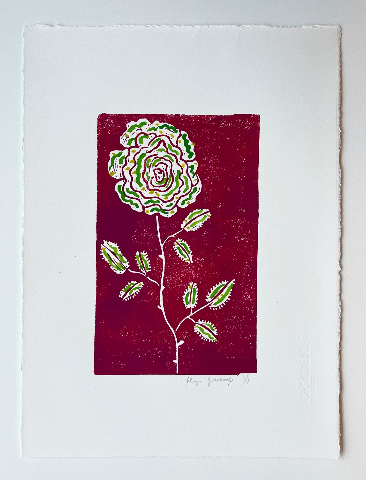 Cherry Rose