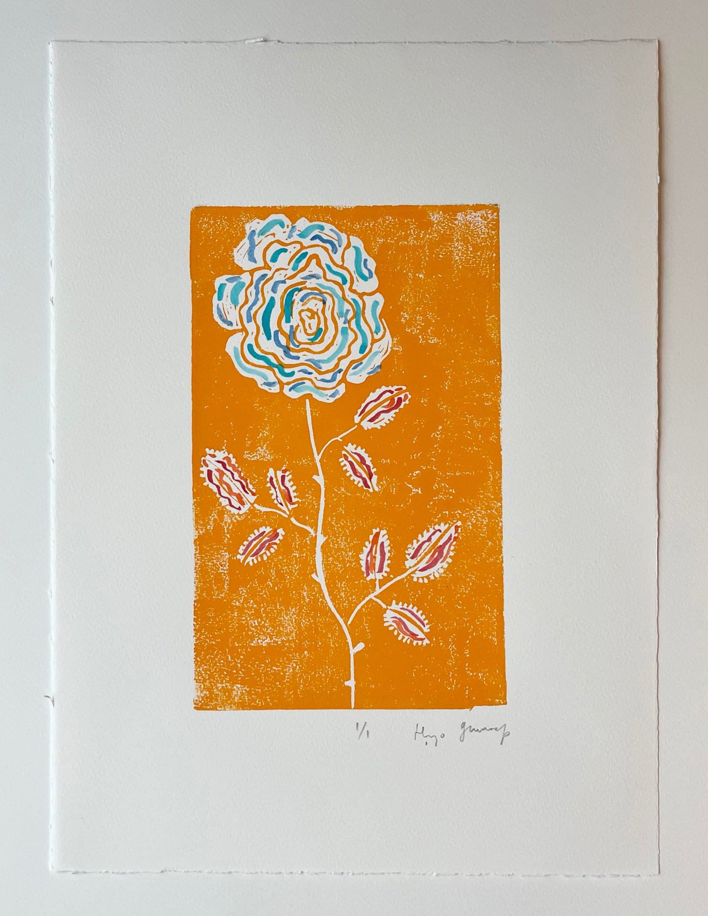 Orange Rose