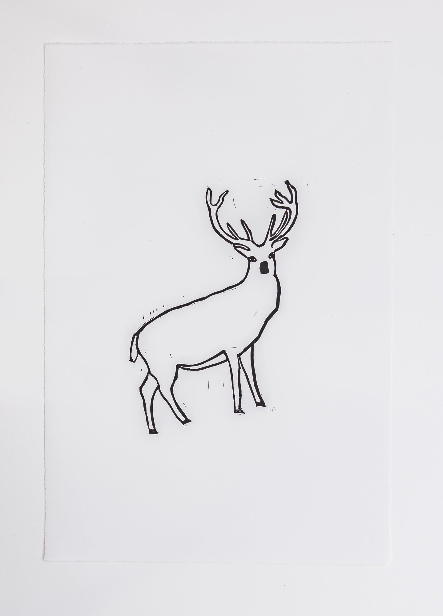Large Stag