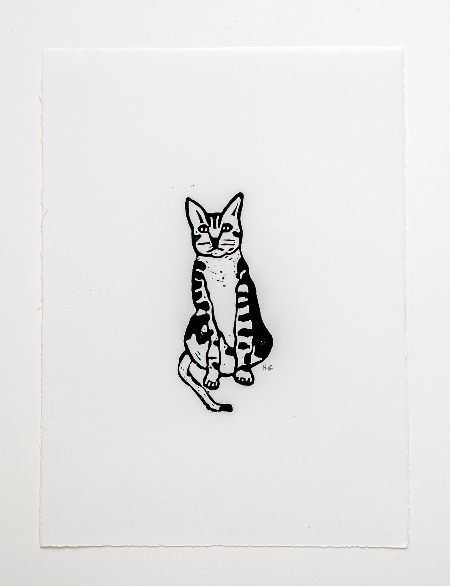 Tabby Cat