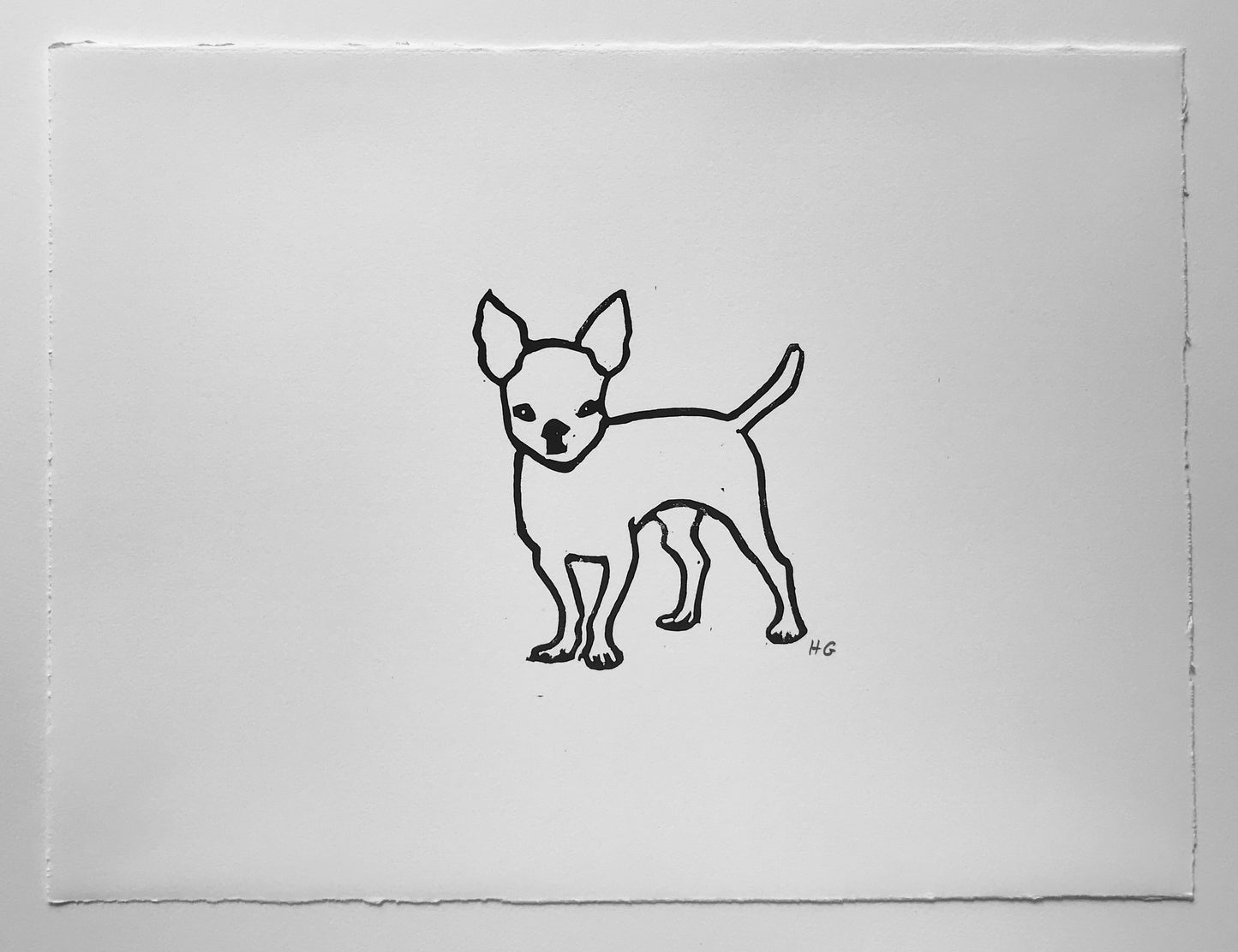 Chihuahua