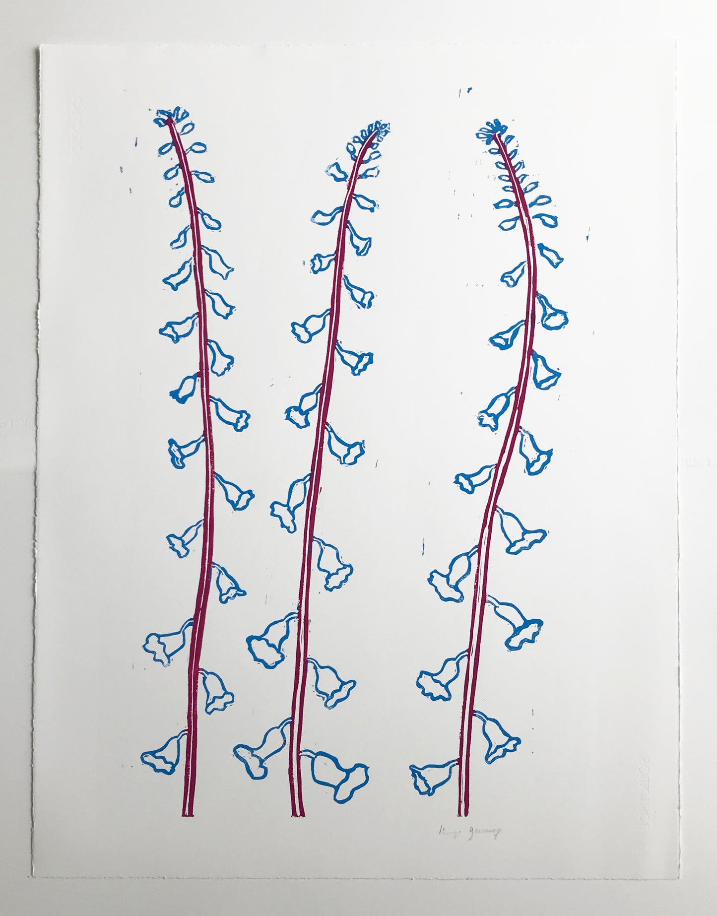 Cyan & Magenta Foxglove