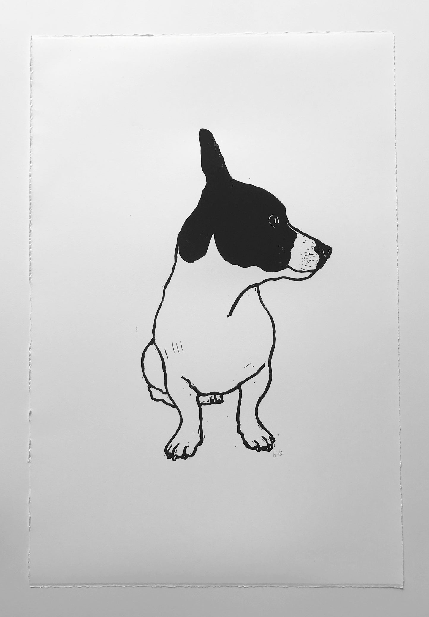 Terrier 2