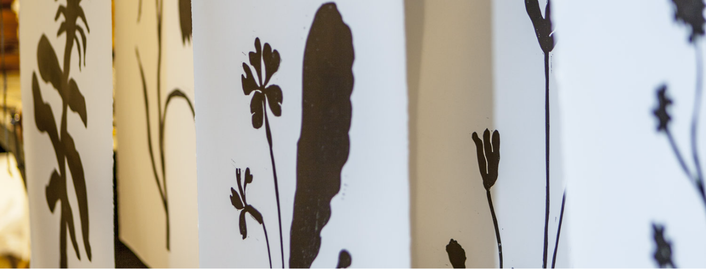 ABOUT US Hugo Guinness