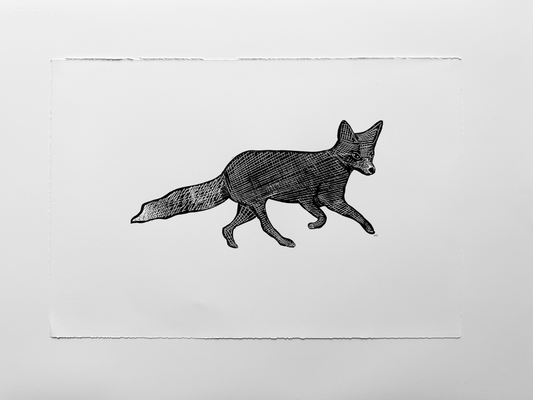 Black Fox