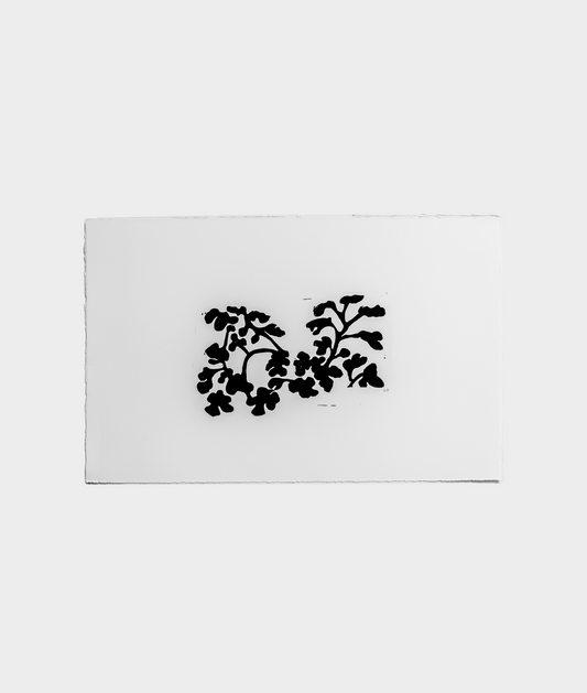 Fig Branch