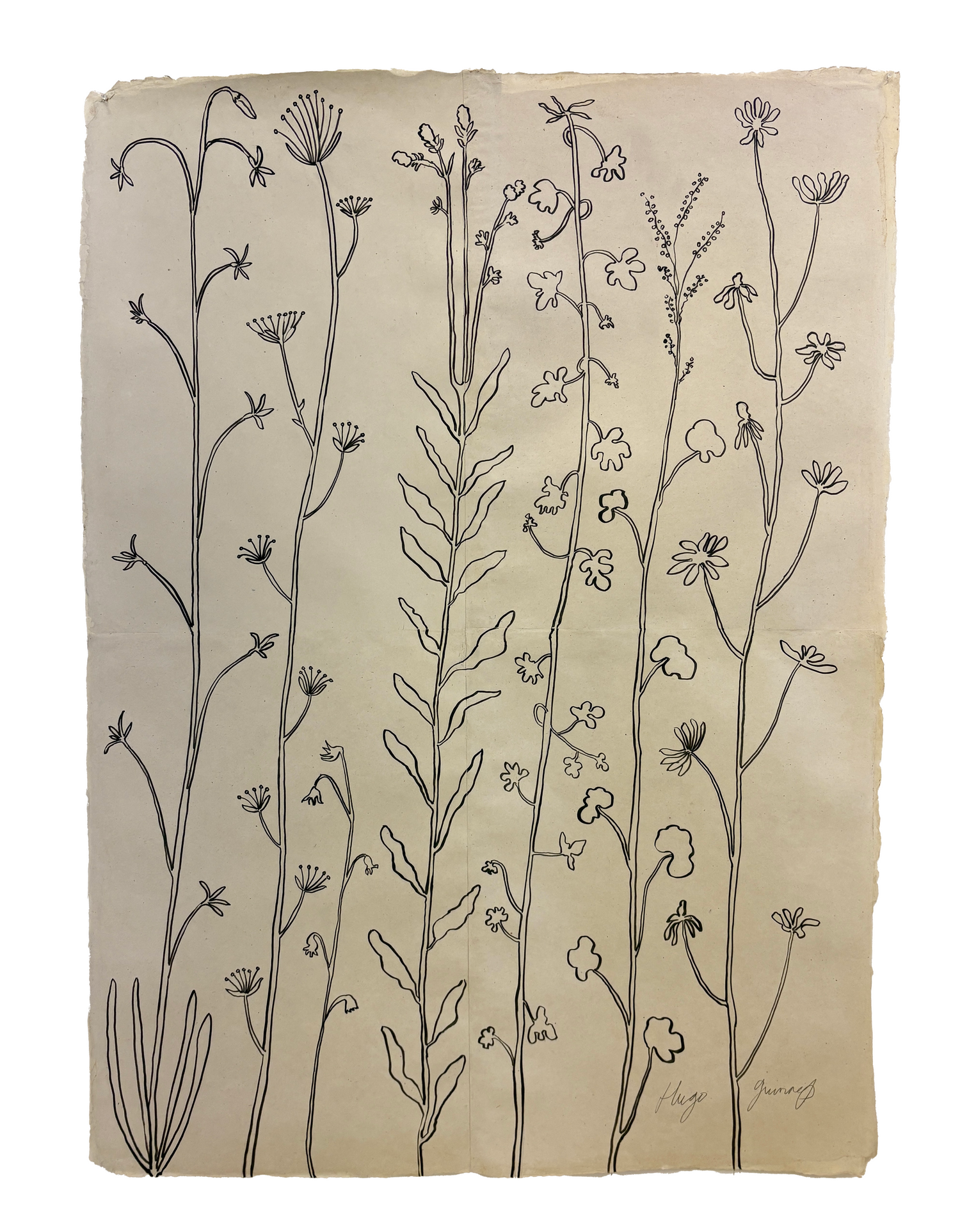 DRAWINGS