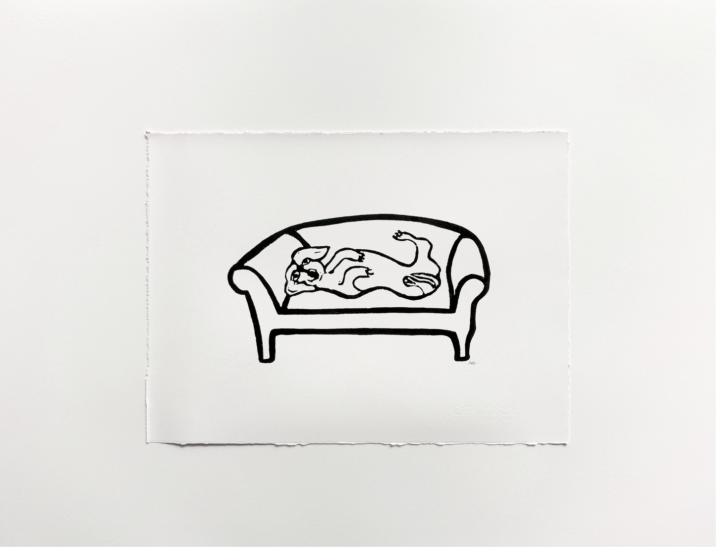 Dachshund on Sofa