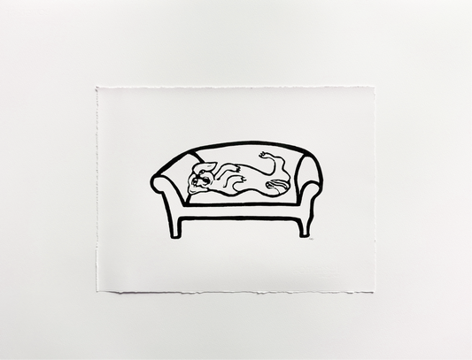 Dachshund on Sofa