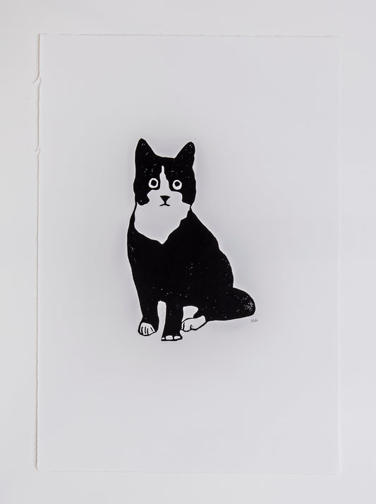 Black & White Seated Cat