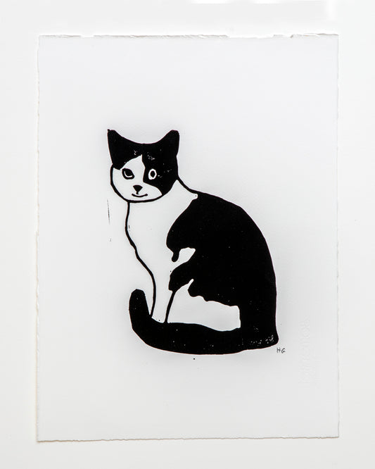 Black & White Cat Facing Left