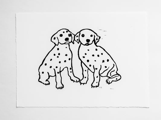 Dalmation Puppies