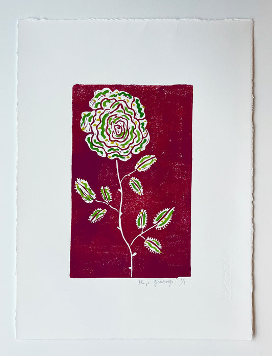 Cherry Rose