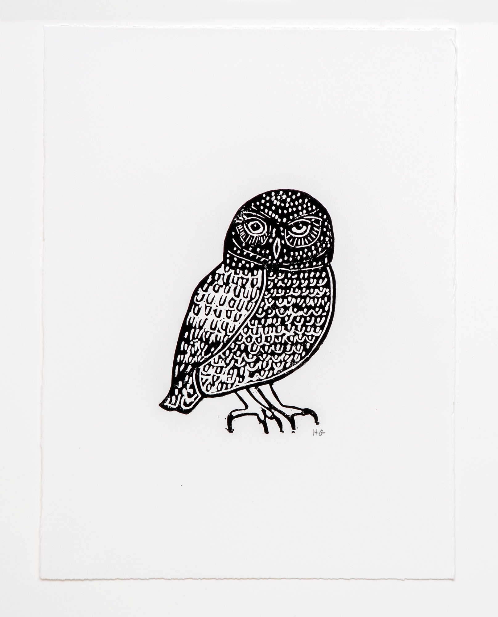 Owl 3 Hugo Guinness Owl 3 hugo guinness