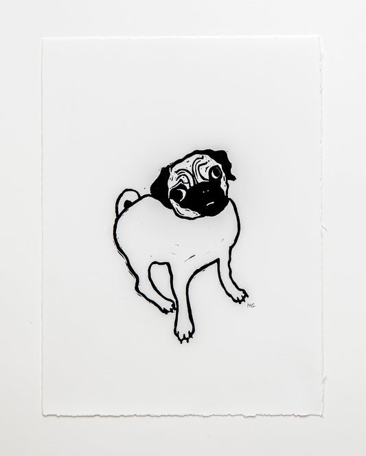 Pug