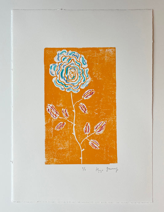Orange Rose