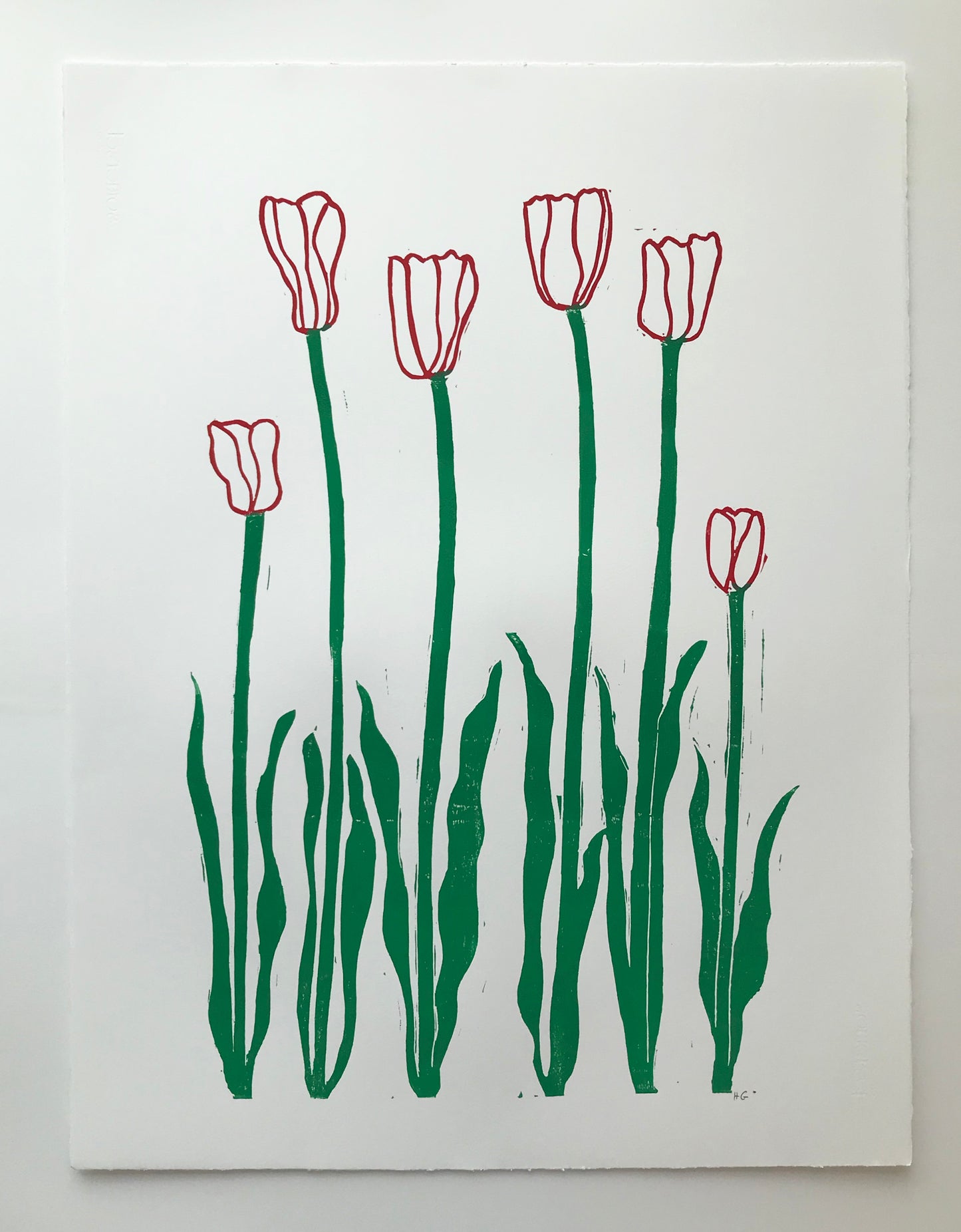 Red & Green Tulips