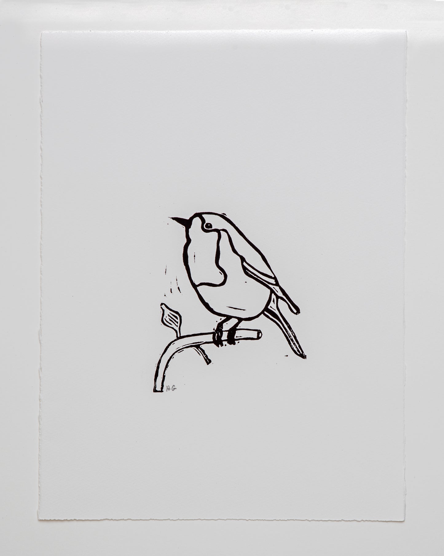 Robin
