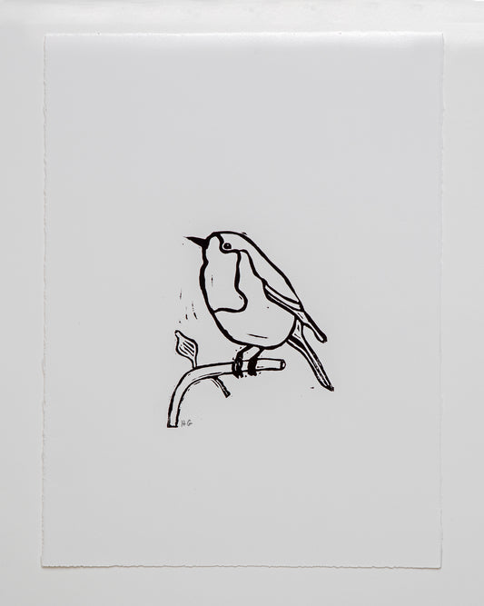 Robin